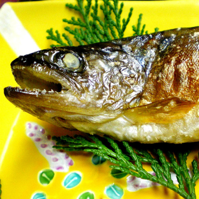 就活でも見られている「魚の食べ方」 きれいに食べれば「高評価」?